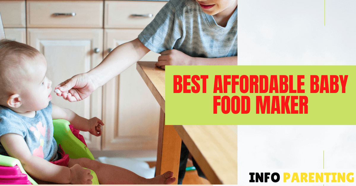 Best Affordable Baby Food Maker